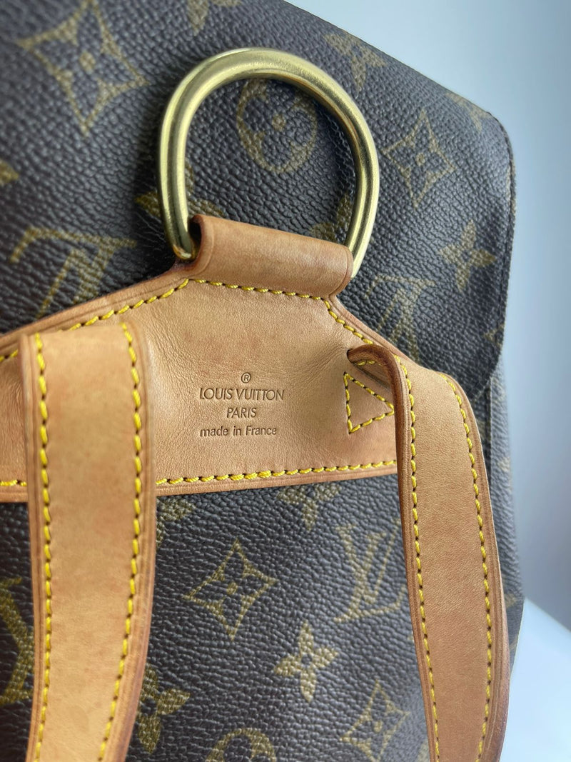 LOUIS VUITTON Montsouris MM Backpack