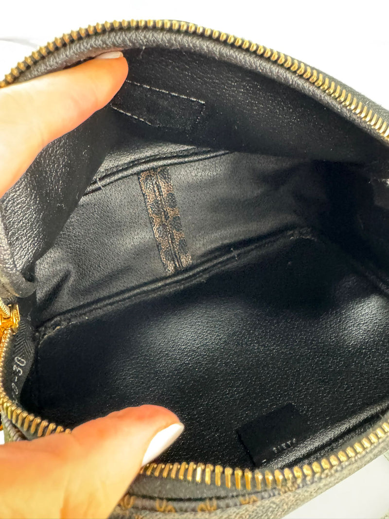 CELINE Triomphe Monogram Camera Bag