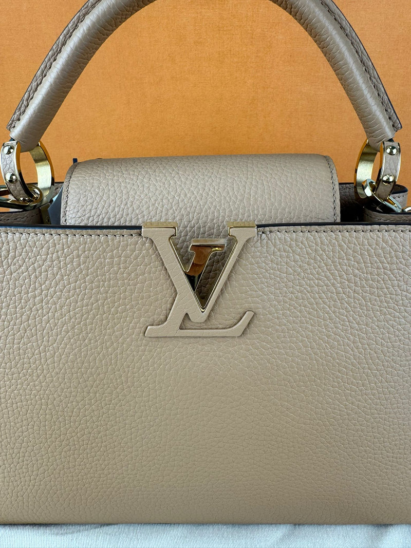 LOUIS VUITTON  Capucines Handbag