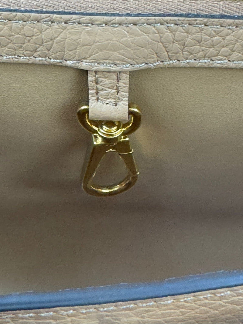 LOUIS VUITTON  Capucines Handbag