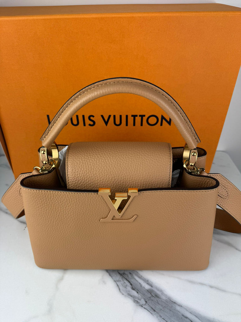 LOUIS VUITTON  Capucines Handbag
