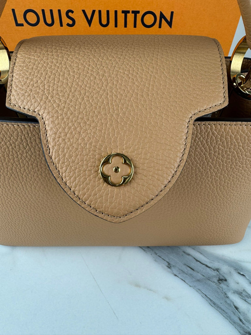 LOUIS VUITTON  Capucines Handbag