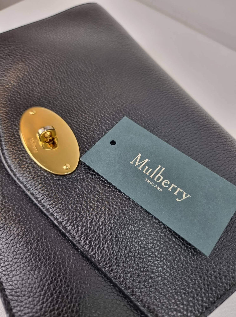 MULBERRY Large Darley Leather Bag